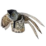 VisualScare Horned Owl Pest Deterrent with Moving Wings â€“ Scare Birds, Rodents, Pests, Scarecrow