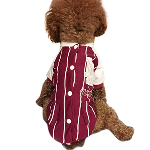 Alfie Pet by Petoga Couture - Haines Baseball Jersey