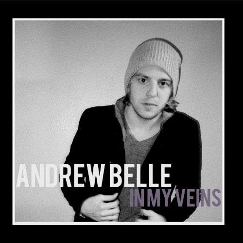 Amazon In My Veins Andrew Belle 輸入盤 ミュージック