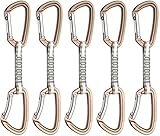 Black Diamond Positron Quickdraw 5-Pack