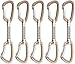 Black Diamond Positron Quickdraw 5-Pack