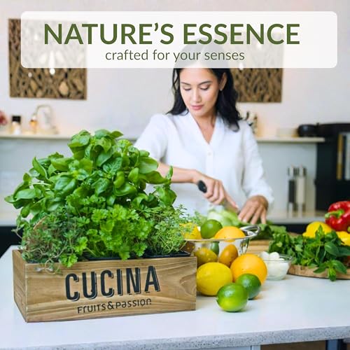Cucina Fruits & Passion Hand Soap Refill, Coriander & Olive Tree – 1 L (33.8 fl oz) – Olive Oil Enriched, Biodegradable Formula, Kitchen Hand Soap