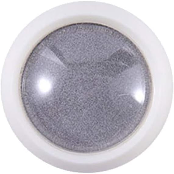CAIfnv Nail Reflective Glitter Powder Shiny Dust Glow in The Dark for Bar and Disco Fluorescent Nail Art Decorations (Gray)