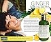 BOTANICAL HAIR GROWTH LAB - Anti-Hair Loss Shampoo - Extra Strength - Ginger Saw Palmetto - Alopecia Postpartum DHT Blocker - 10.2 Fl Oz (Pack of 1)