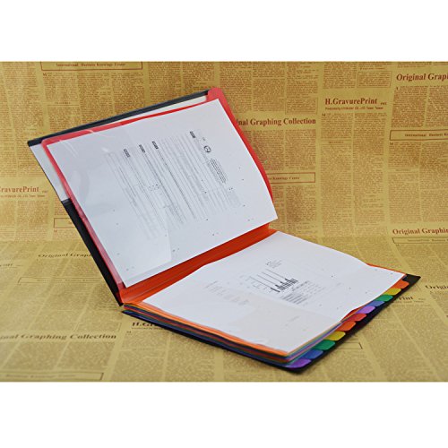 12 Pocket Plastic File Folders - Heavy Duty Black Shell Multi Pocket Folders,Letter Size - 12.2 x 9.84 x 0.6, Multicolor