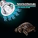 UVB Light UVA Bulb Basking Spot Lamp 110V/25W Full Spectrum Turtle Aquarium Aquatic Reptile Lizard Heat Lighting