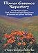 Flower Essence Repertory:  A Comprehensive Guide to North American and English Flower Essences for Emotional and Spiritual Well-Being