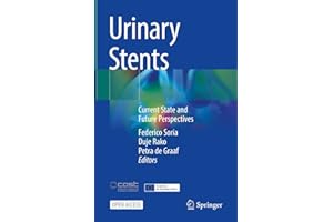 Urinary Stents: Current State and Future Perspectives