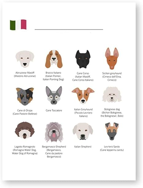 Amazon カラフル 宇宙 イタリア 犬種ポスター ペットショップ 壁アート キャンバス絵画 犬コレクション 教育プリント 壁絵 リビングルーム装飾 60x80 Cm No Frame ウォールステッカー オンライン通販