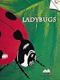 Ladybugs