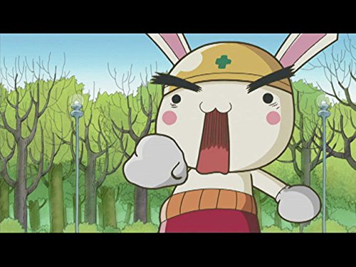 Amazon Co Jp 全力ウサギを観る Prime Video