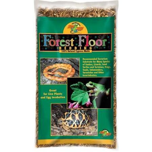 labradoodle hip dysplasia