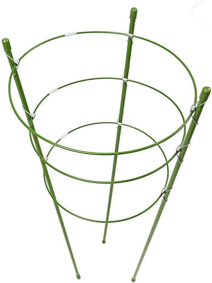 Pannow Mini Plant Support Rings, 2 Pack Garden Trellis Tomato and Plant Support Cage Stand Stainless Steel Support for…