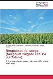 Image de Respuesta del sorgo (Sorghum vulgare var. BJ 83 Caloro): A dos inoculantes micorrízicos en diferentes sustratos (Spanish Edition)