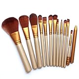 CoKate Pro Makeup Cosmetic 12pcs Eyeshadow Brushes Set Powder Foundation Lip Brush Tool
