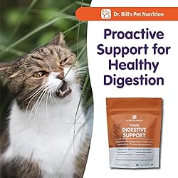 Dr. Bill’s Feline Digestive Support | Probiotics