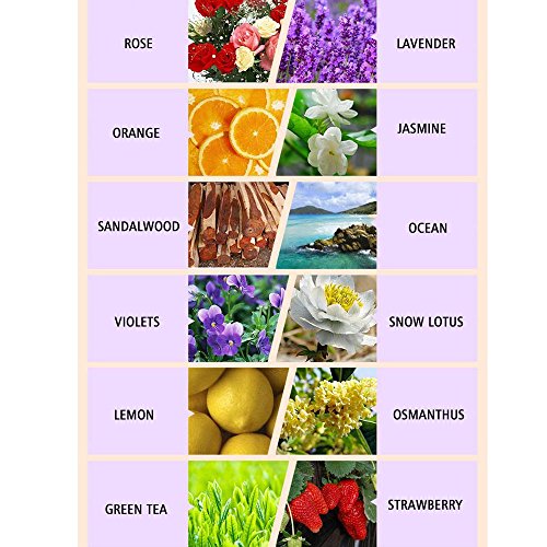 Water Soluble Essential Oil Sets Relax Kit, 12 Pack Difussers Essential