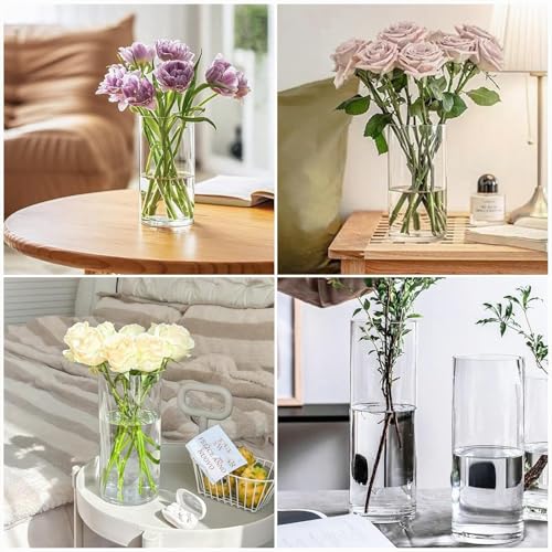 QEEYON 30cm Tall Glass Cylinder Vase, Extra Large Thickened Crystal Flower Vase for Living Room Kitchen Office Wedding Flower Arrangements (30x12cm)
