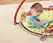 Fisher-Price Luv U Zoo Deluxe Musical Mobile Gym