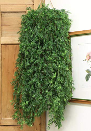 Artificial Springeri Hanging Vine Ivy Plant, 46" Long Plastic Fake Asparagus Fern Hanging Vine | Ultra-Realistic Design, Premium Quality, No Watering Needed - For Garden, Balcony, Events Décor