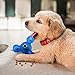 Dog Toothbrush Stick for Dental Oral Care, Dog Chew Toothbrush, Dog Chew Toys for Small Medium Dogs