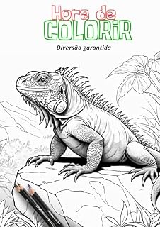Livro Hora de Colorir