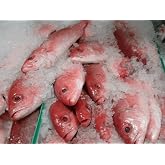 Whole Caribbean Red Snapper 3 Lb. Avg(1-2 Fish) (Head On)