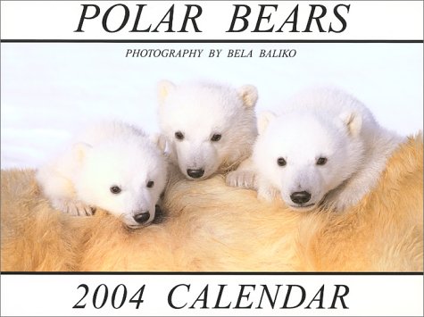 Polar Bear 2004 Calendar Polar Bear 2004 Calendar
