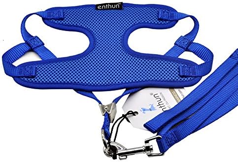 ENTHUN Soft Mesh Dog Harness &amp; Leash set, Comfort Padded Vest for Small Pet Cat and Puppy, No Pull &amp; No Choke Design (XS (9"-15"chest), Blue)