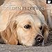 2019 Wall Calendar - Golden Retriever Calendar, 12 x 12 Inch Monthly View, 16-Month, Dogs and Pets Theme, Includes 180 Reminder Stickers