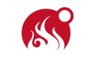 MEATER® Smart Meat Thermometer