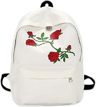 aesthetic backpacks amazon