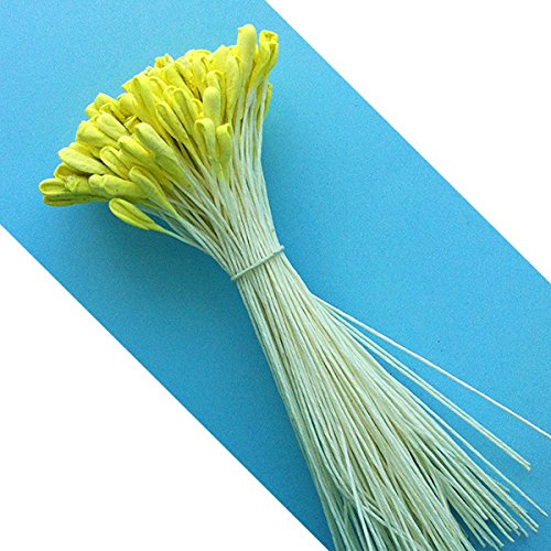 W OF S A SCOTT CLARK WOOLLEY Long Lily Flower Stamen (Yellow)