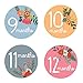 Design Corral Floral Monthly Stickers For Baby - Baby Monthly Stickers - Baby Girl