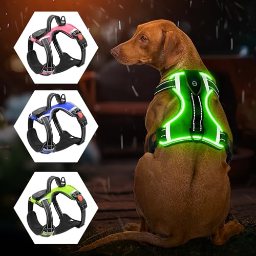 Harnais lumineux pour chien - Ne tire pas - LED - Rechargeable - Pour chiens de petite, moyenne et grande taille - Vert - Taille XL