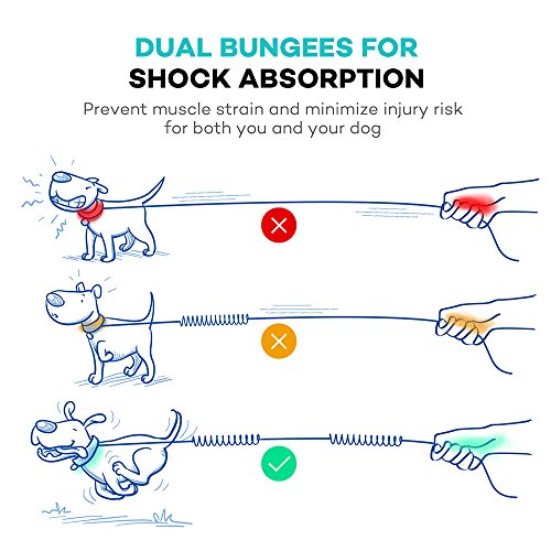 TAOTRONICS Retractable Hands Free Dog Leash with Dual Bungees for up to