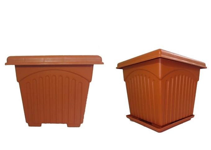 ASFA Deals Plastic Square Planter 10 inch (Pack of 3 with Try)