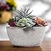 MyGift 7-Inch Assorted Artificial Succulent Plants in Rustic Textured Pulp Pot