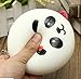 One Random Slow Rising Cute Panda Bun Squishy Kawaii Toy - Bonus HiperSpeed eBook