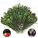 Fellibay Craft Peacock Feathers Natural Peacock Tail Eyes Feathers for Halloween Christmas Decor(50pcs)