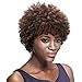 sleek Afro Mixed Color 5