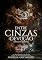 Livro Entre Cinzas & Devoção: Série Blood Brothers