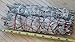 White Sage Smudge Stick Two Pack, 9
