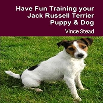 Amazon Com Have Fun Training Your Jack Russell Terrier Puppy
