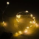 SUPERNIGHT (TM) 7ft/2m 20 LEDs Potted plants Copper LED Strings AA Battery Box LED Light Lovely LED Starry Light for Festival Gifts Xmas Lighting