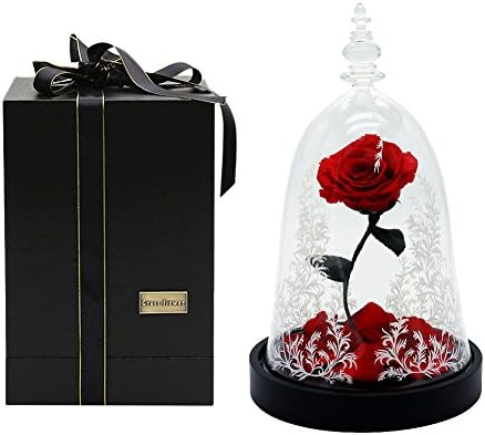 Preserved Fresh BEAUTY and BEAST Rose with 7Colors Changing LED Light and Print Flower Pattern Glass Dome Wooden Base Valentine‘s Day Mothers Day Christmas Marriage Anniversary Gifts (Red)