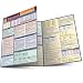 Spanish Grammar (Quick Study)