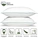 Milddreams Pillows Standard Set of 2 - Bed Pillow for Sleeping 2 Pack - Soft Material - Size 20 x 26 Inch