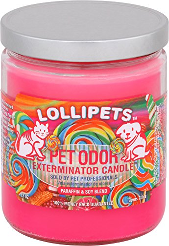 Specialty Pet Products Lollipets Pet Odor Exterminator 13 Ounce Jar Candle