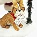 Department 56 Possible Dreams Santa Claus “Special Handing Required” Clothtique Christmas Figurine